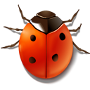 bug