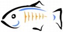 glassfish.jpg