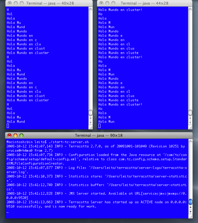 terracotta screenshot ejecucion holamundocluster 2