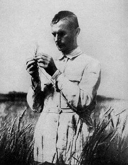 Trofim lysenko