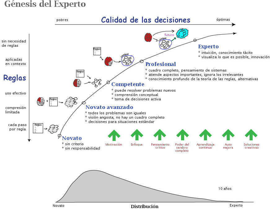 Génesis del experto